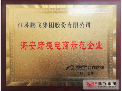 (2017年12月)阿里巴巴海安跨境電商示范企業