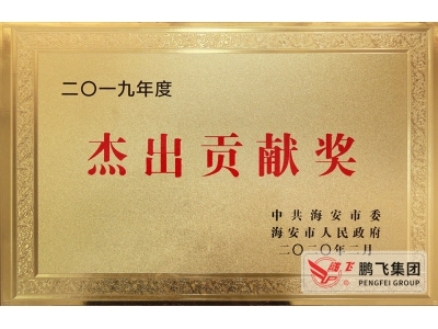 (2020年2月)海安市杰出貢獻獎
